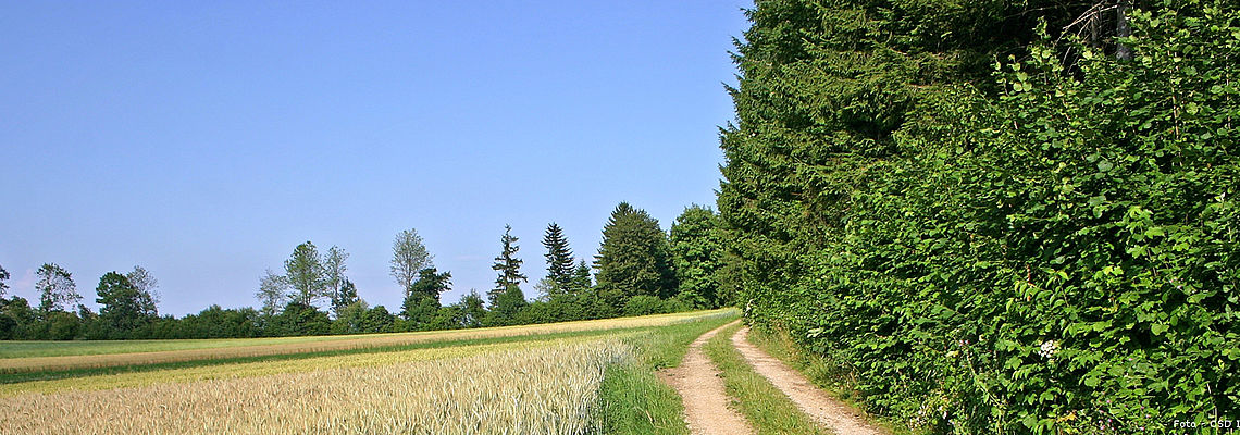 Neues vom Windpark „Burg“ und der Windenergie in der Schweiz