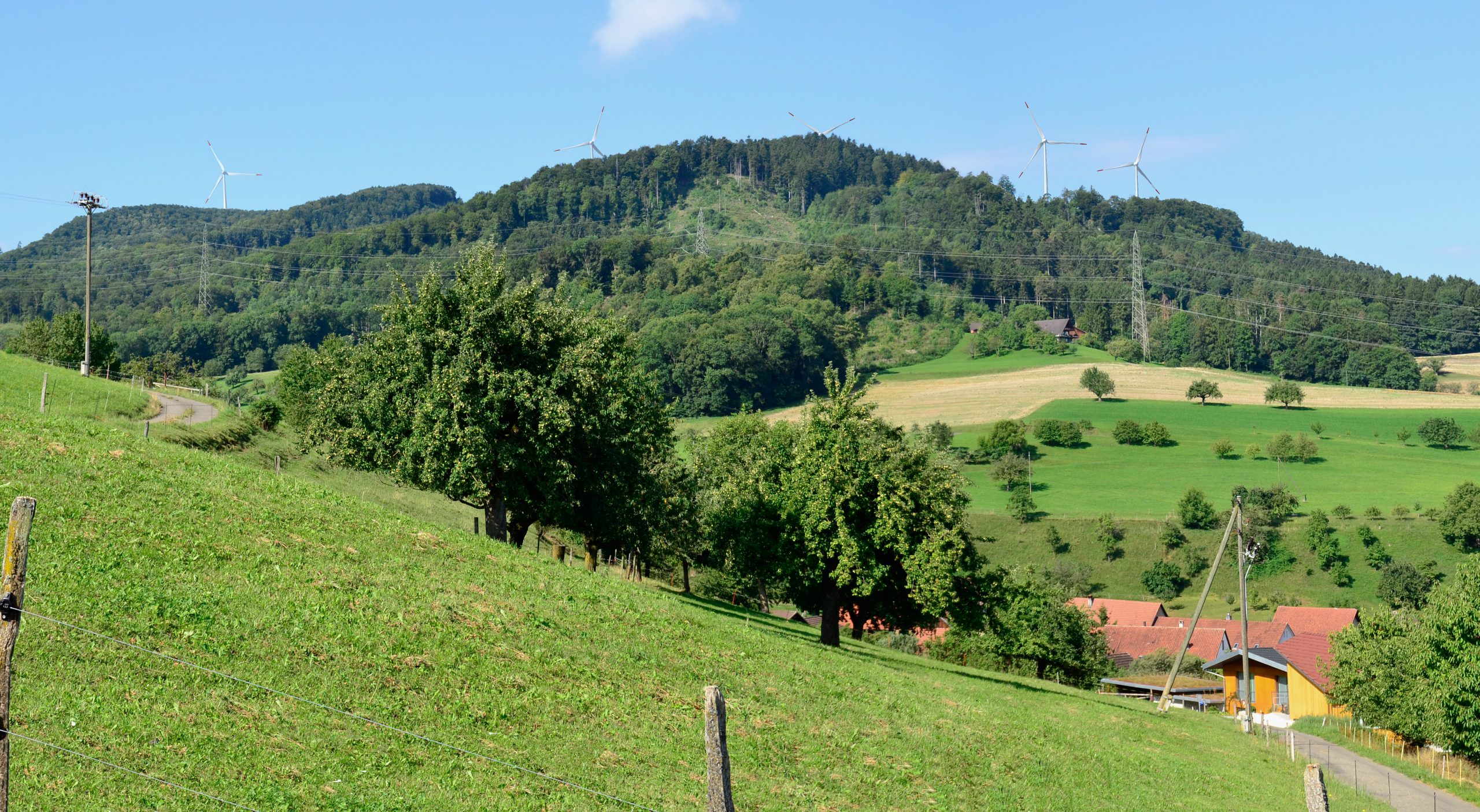 Ausflug zur Besichtigung der Windparks Mont-Crosin & Le Peuchapatte